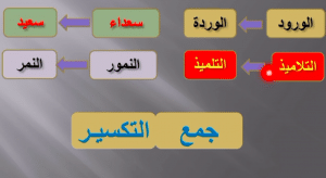 جمل فيها جمع التكسير