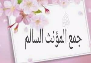 علامات اعراب جمع المؤنث السالم