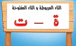 اوراق عمل التاء المفتوحة والمربوطة