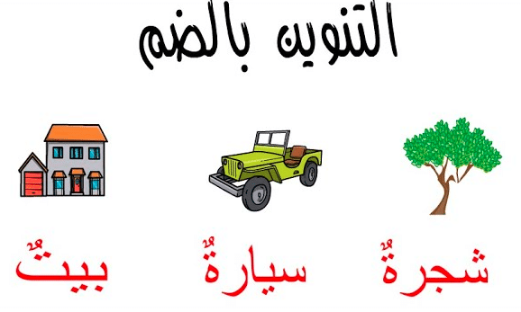 جمل فيها تنوين ضم