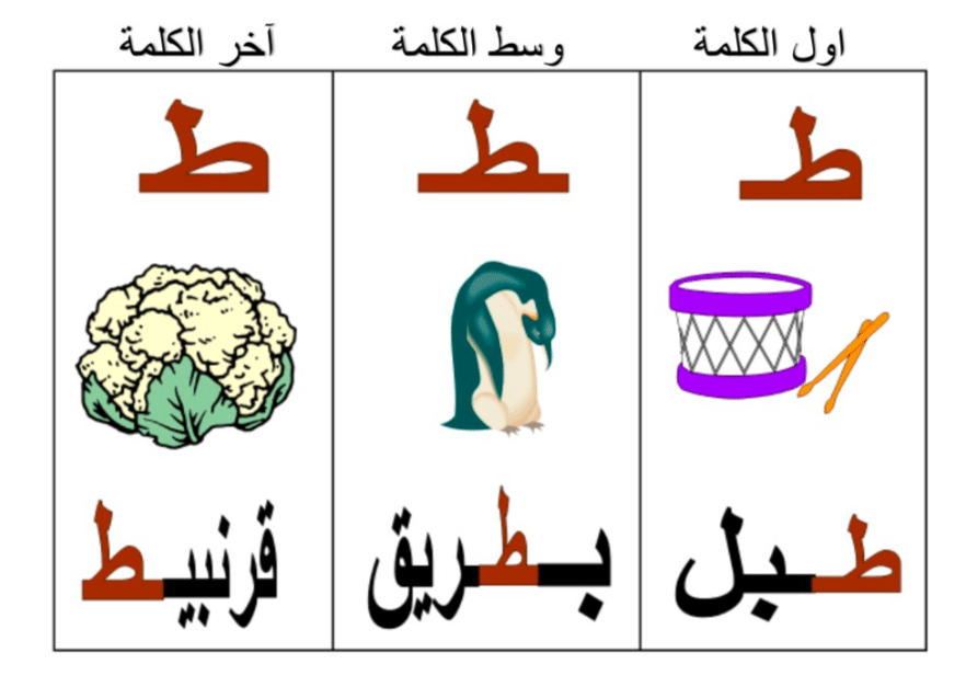 جمل فيها حرف الطاء