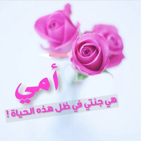 3اجمل الصور عن عيد الام 2024