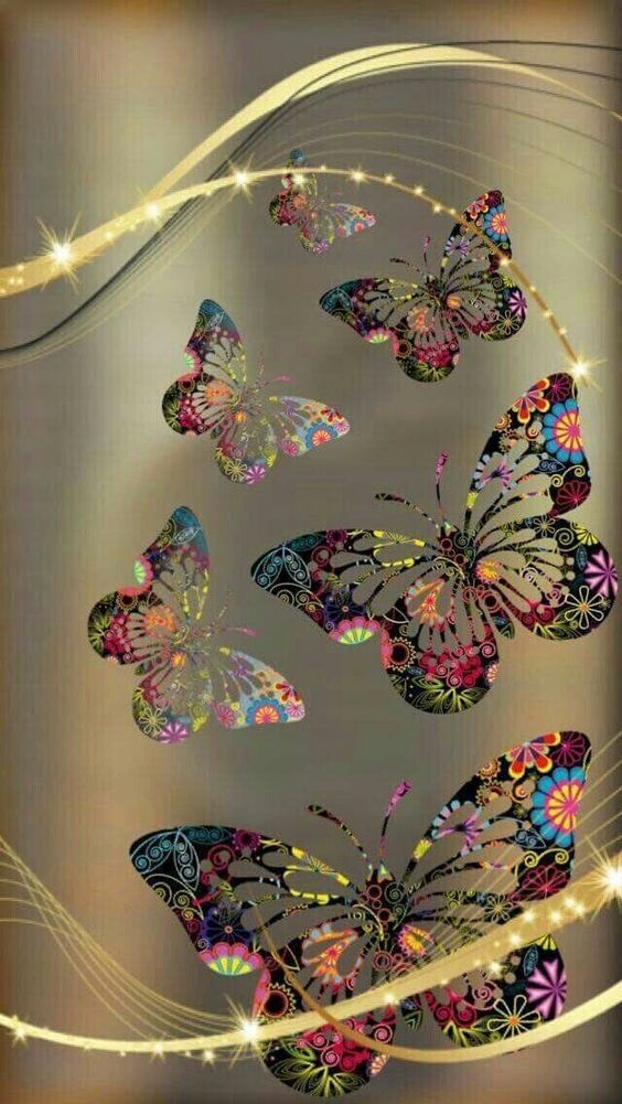 فراشات جميلة2