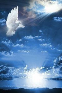 words of comfort after a death