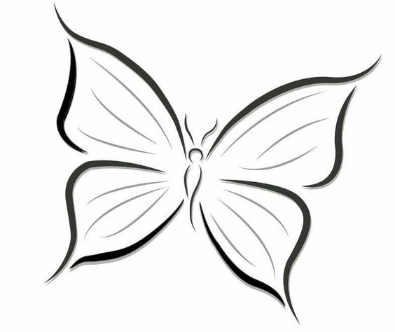 فراشة رسم1
