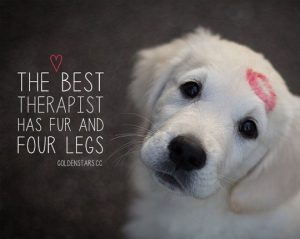 quotes about dogs love