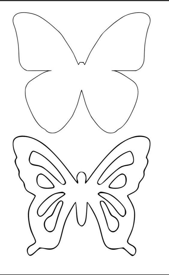 فراشة رسم3