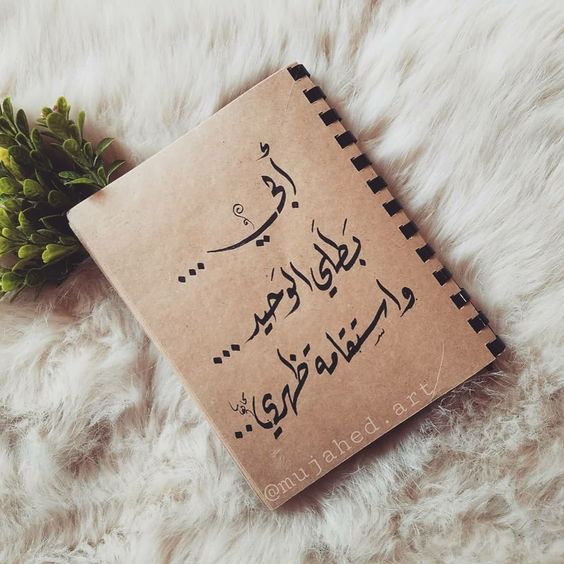 كلمات وصور عن الاب3