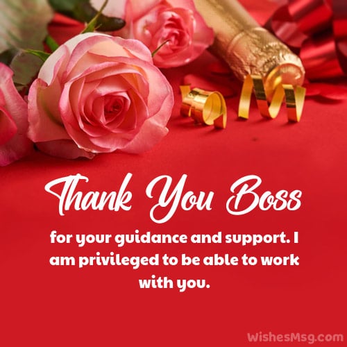 Thank You Boss, for Support and Guidance