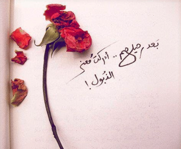 عبارة عن الورد تويتر 1