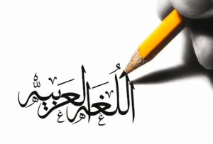 جمل فيها قد وربما