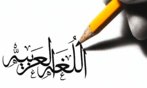 جمل فيها كلمة كما
