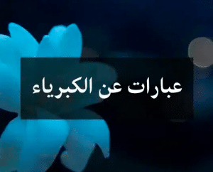 عبارات فيها كبرياء