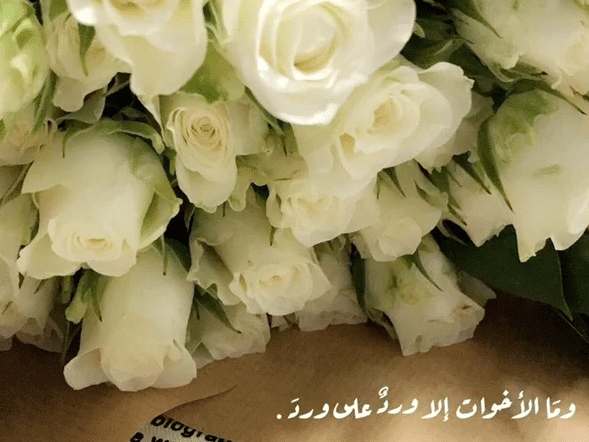 عبارة عن الورد تويتر 3