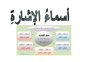 جمل فيها هنا وهناك
