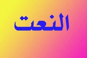 جمل فيها نعت حقيقي
