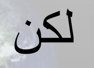 جمل فيها لكن