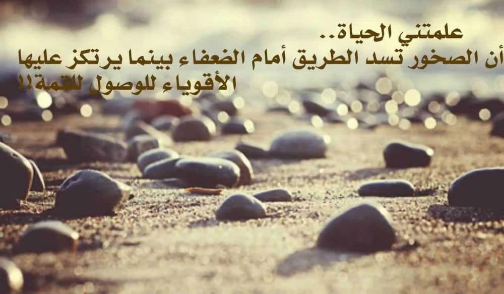 عبارات فيها حكمة