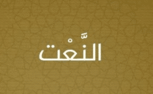 جمل فيها نعت