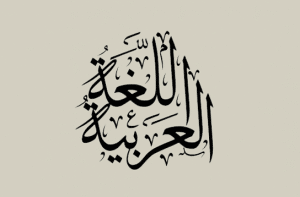 جمل فيها كلمة ثمة