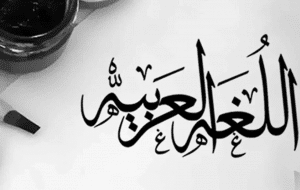جمل فيها شمال