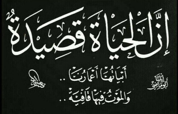 جمل فيها قافية