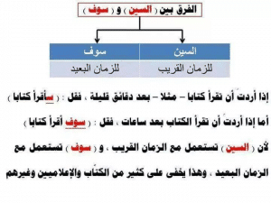 جمل فيها سوف