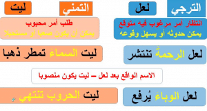 جمل فيها ليت