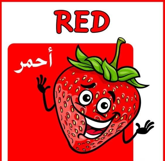 تعليم الألوان للاطفال بالصور 4