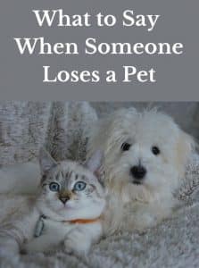 what to say to someone who lost a pet
