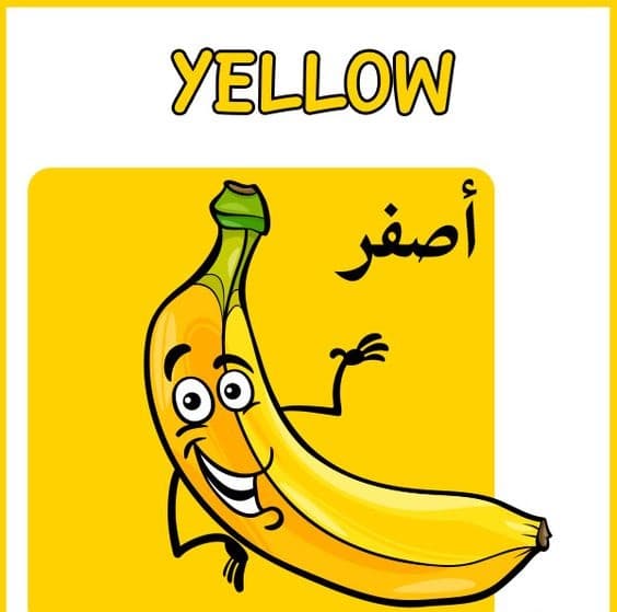 تعليم الألوان للاطفال بالصور 5