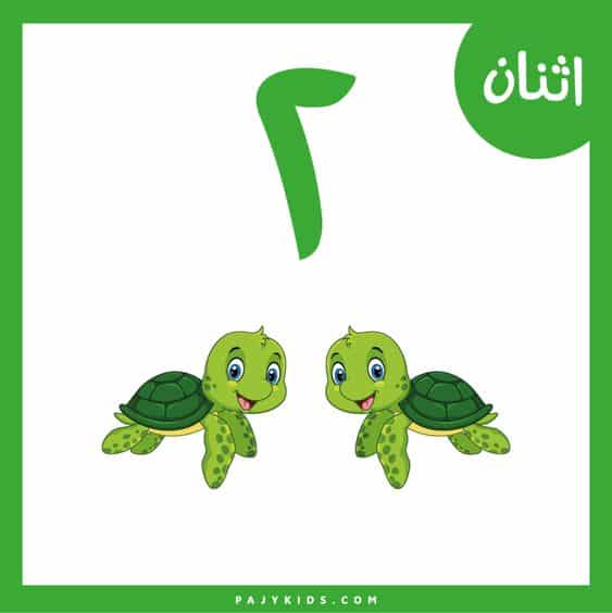 تعلم الأرقام للأطفال بالصور 3