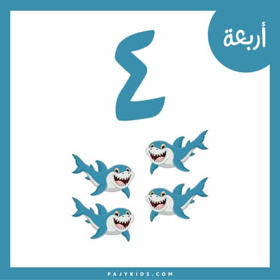 تعلم الأرقام للأطفال بالصور 5