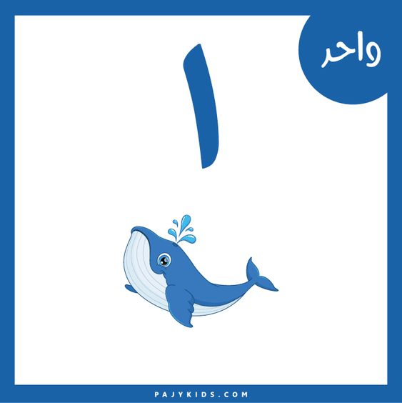 تعلم الأرقام للأطفال بالصور 2