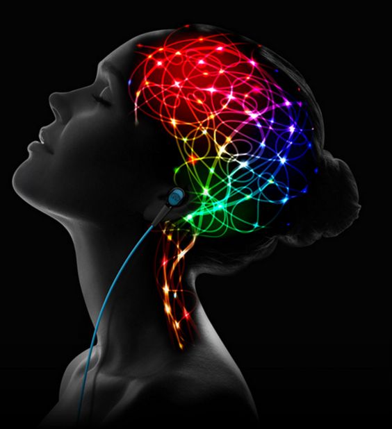 Brain mechanism in the learning 
  1 process