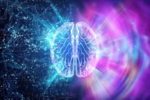 How to improve your brain's ability to learn