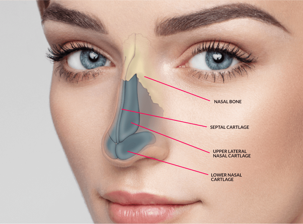 معلومات عن عملية تجميل الانف
