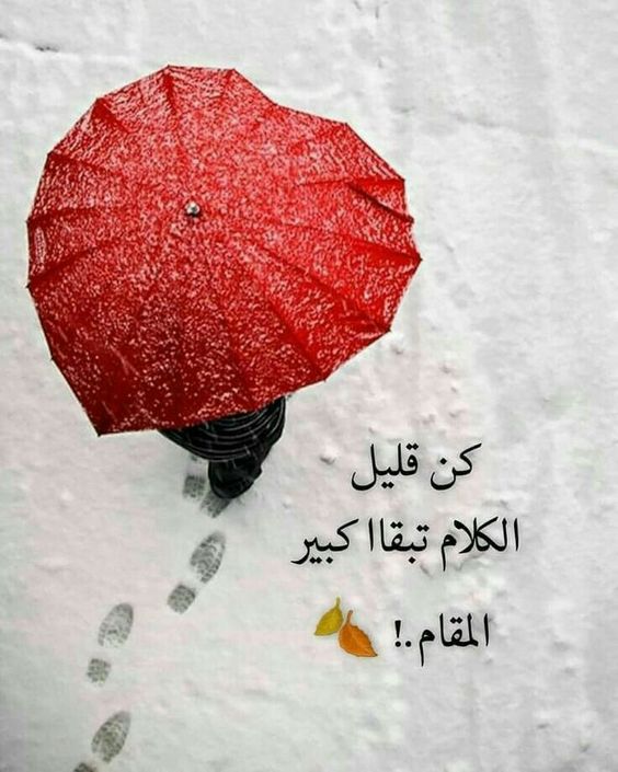 صور معبرة 5