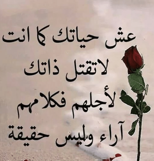عبارات حكم عن الحياة