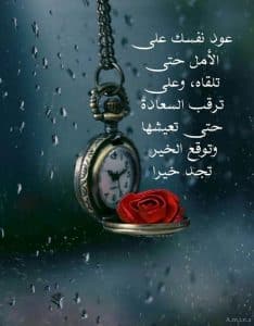 أجمل العبارات والحكم