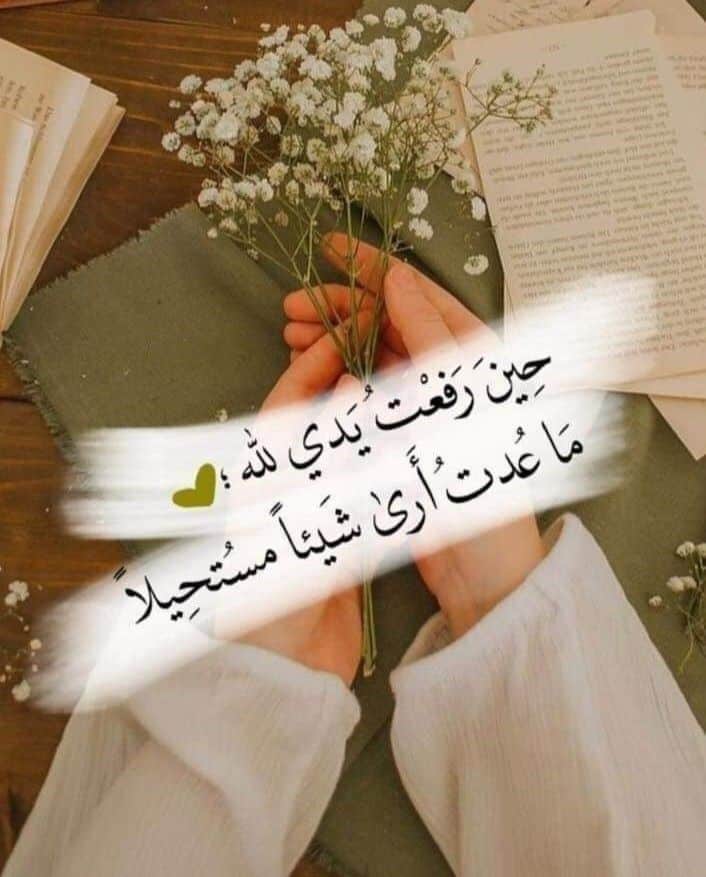 عبارات حكمة قوية