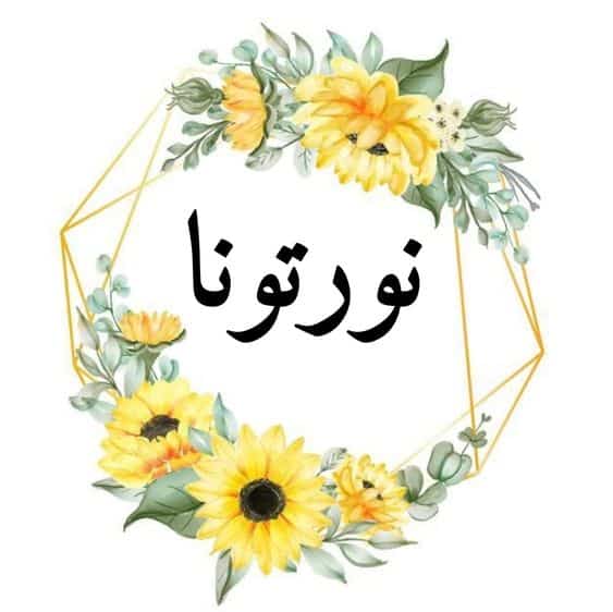 عبارات ترحيب بالعاميه