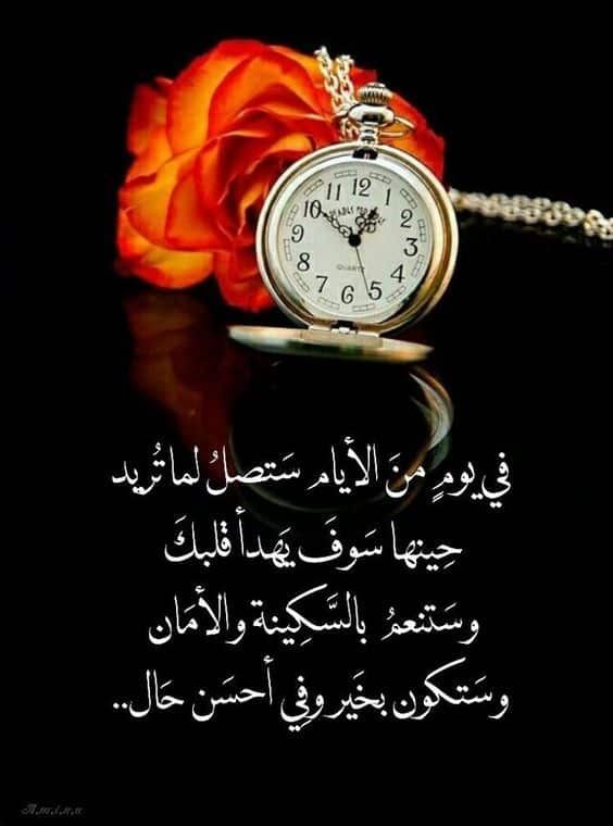 أجمل العبارات والحكم