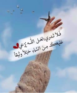 عبارات حكمة قوية