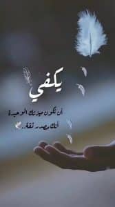 كلمات جميلة وحكم معبرة