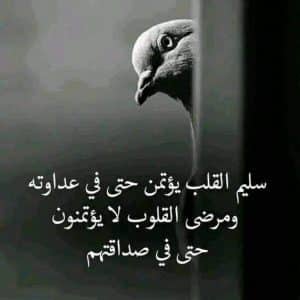 كلمات وحكم عن الحقد
