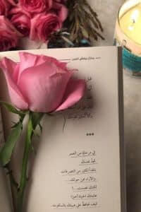 رسالة طويلة للحبيب البعيد