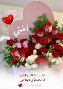 اجمل كلام بحق الاخت
