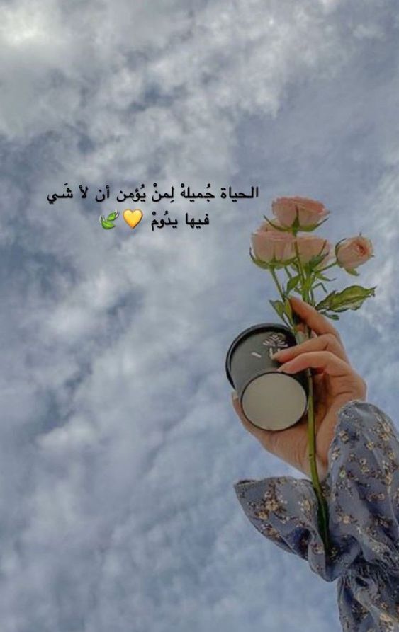 اجمل كلمات معبرة عن الحياة