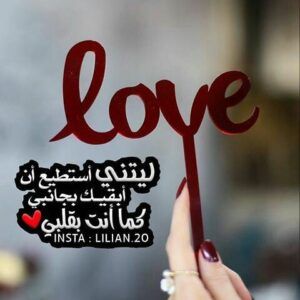 اجمل عبارات حب وعشق